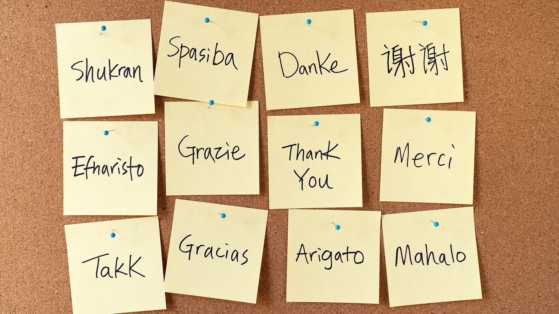 Tableau d’affichage en liège avec 12 Post-it disant 'merci' dans des langues différentes.